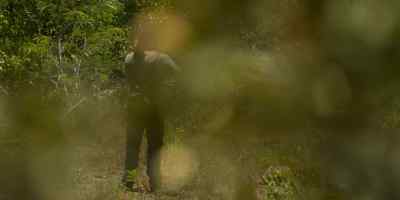 [soldier speaking Spanish] - The Mosquito Coast