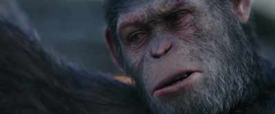 Soldiers everywhere!
How will we get in? - War for the Planet of the Apes