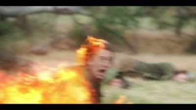 (soldiers screaming in pain) - The Emu War