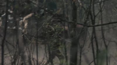 [soldiers shouting] - The Last Kingdom