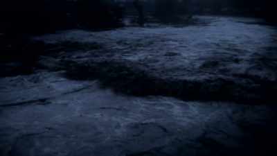 Soledad watched her
mother and siblings - Flood in the Desert