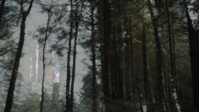 (solemn music continues) - My Norwegian Holiday
