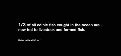 [somber music continues] - Eating Our Way to Extinction