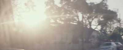 [Somber music playing] - Duck Butter