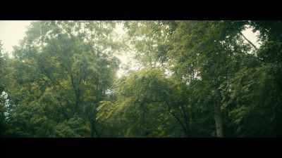 (somber piano music)
(crickets chirping) - The Bigfoot Trap