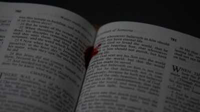 Some brothers
were even saying like... - Killer Inside: The Mind of Aaron Hernandez