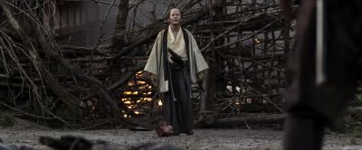 Some call it elegance - 13 Assassins