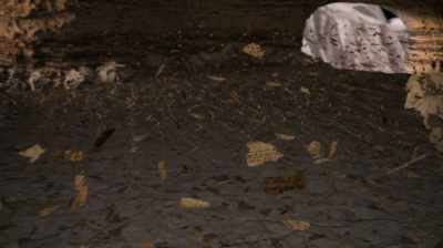 Some can be assembled
and deciphered - Dead Sea Scrolls: The Doomsday Prophecy