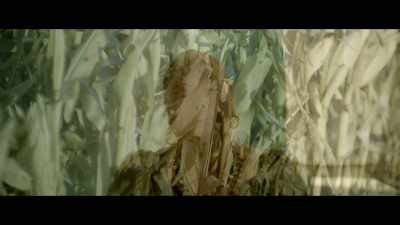 Some fall, - The Last Narc