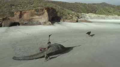 Some fights just aren't worth the risk. - Prehistoric Planet