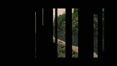 ♪ Some flowers ♪ - The Day of the Jackal
