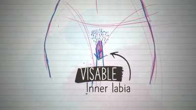 Some have visible inner
labia, some don't. - Naked Education
