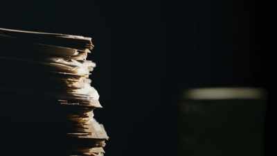 Some influential players in American industry and commerce - Hitler's Gold