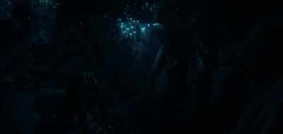 Some kind of glowing bugs
hanging from the ceiling. - See