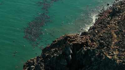 Some manage to find space
away from the crowds. - Our Planet