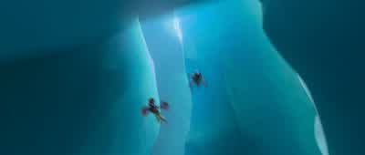 Some might suggest this is poorly conceived! - How to Train Your Dragon 2