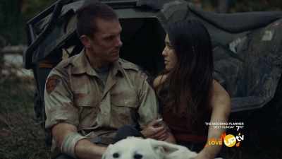 Some of our bravest dogs. - Romance in the Wilds