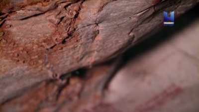 Some of the current
researchers identify here - Ancient Skies