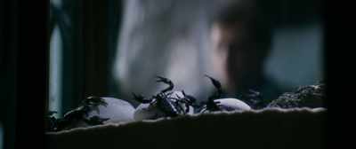 Some of them
can put you to sleep, - American Night
