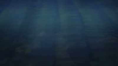 Some people call it
retinal discharge, - The Way of the Psychonaut