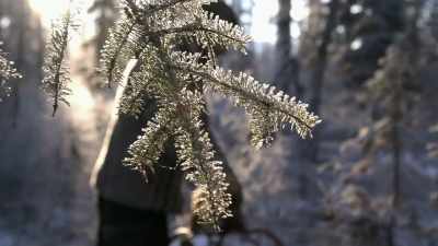 Some people kill
just for the meat, - Life Below Zero: Next Generation