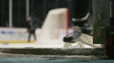 Some people out there - Ice Guardians