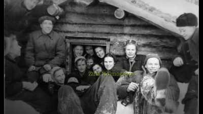 Some people think that Igor
really was involved with Zina, - An Unknown Compelling Force