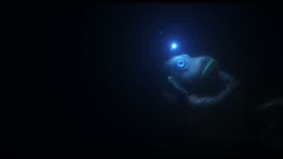 Some people think I'm mad to live in the deep. - Luca