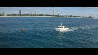 Some politicians are adamant - Envoy: Shark Cull