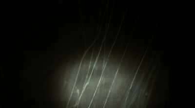 Some poor
prisoners scratched - Eli Roth Presents: A Ghost Ruined My Life