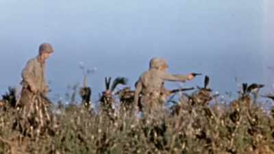 Some refuse to take any
Japanese prisoners at all, - The Pacific War in Color