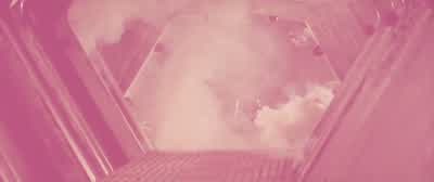 This is some rescueWhen you came in here didn't you have a plan for getting outHe's the brains sweetheart - Star Wars: Episode IV   A New Hope