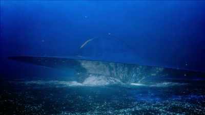 Some scientists think it may
be an ocean of liquid diamonds. - Cosmos: Possible Worlds