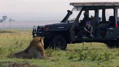 Some sit and follow, others watch,
some are into everything. - Dynasties