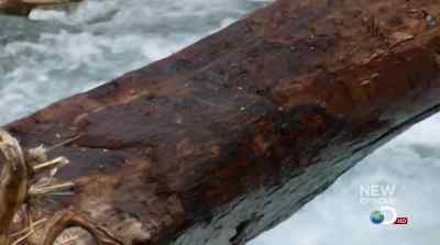 SOME SORT OF BIG RIVER
PUMPING DOWN THERE. - Man vs. Wild