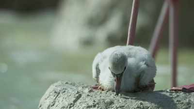 Some years, - Planet Earth III