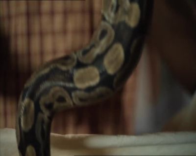 Somebody doesn't like you. - Death in Paradise