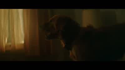 Somebody give me a hand! - A Dog's Purpose