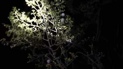 Somebody help me - mu- - The Outwaters