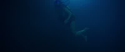 Somebody please answer me! - 47 Meters Down
