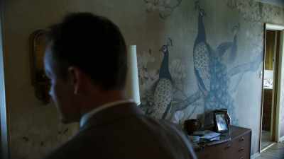 Somebody really likes peacocks. - Interrogation