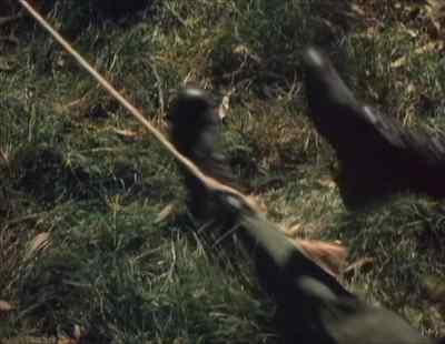 Somebody! - Deadly Prey