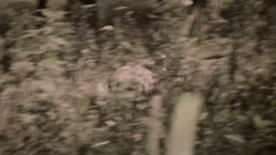 Somebody said, "John,
you set that rabbit on fire!" - Lost Women of Highway 20