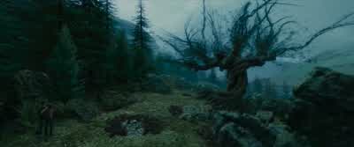 ...somebody who, until quite recently, I believed to be dead! - Harry Potter and the Prisoner of Azkaban