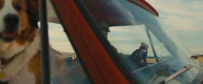 Somehow, Ethan always knows
when I wanna take a car ride. - A Dog's Journey