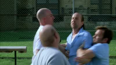 Somehow I doubt that. - Prison Break