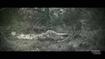 -Someone clearly wanted to hide
her identity. - Lady of the Dunes: Hunting the Cape Cod Killer