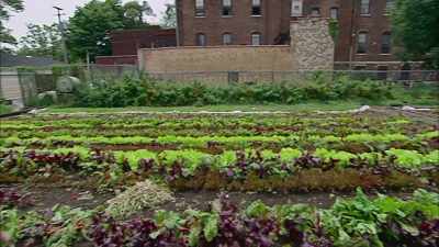 Someone said to me it's easier - Cooked: Survival by Zip Code