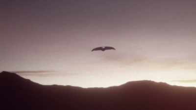 Someone has something that we don't have
and we don't even understand, - Top Secret UFO Projects Declassified