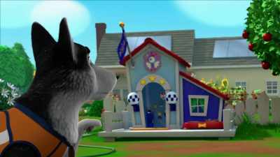 Someone took items
from my doghouse, twice, - The Chicken Squad